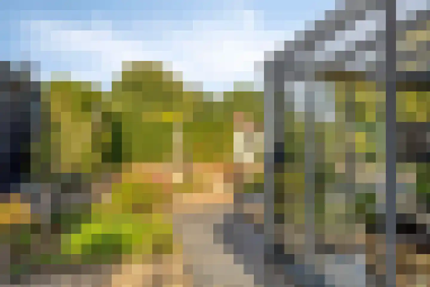 Hondelink 181 Haaksbergen thumbnail 31