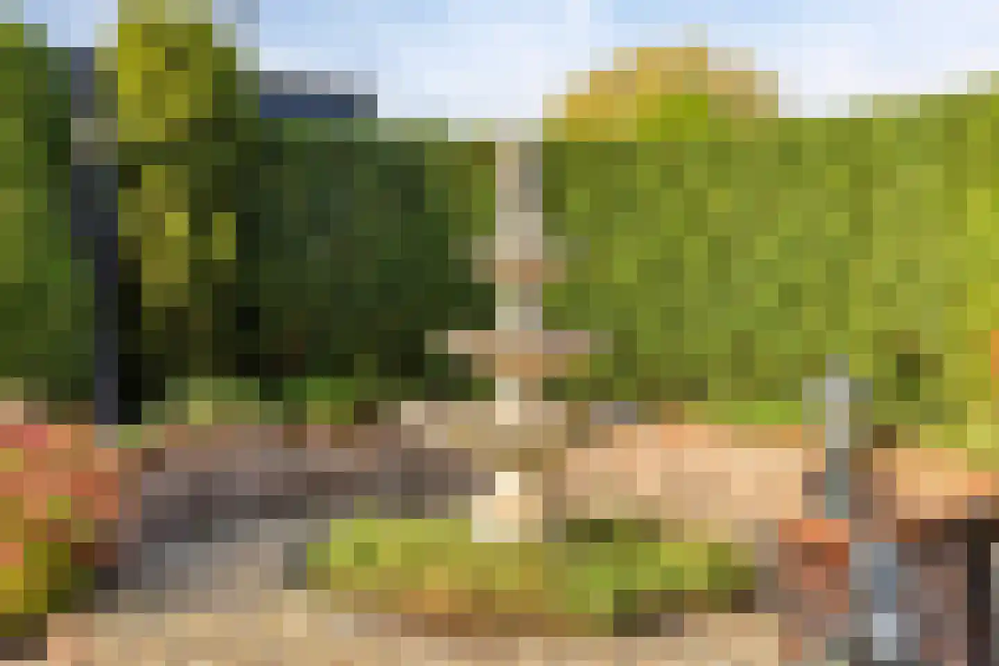 Hondelink 181 Haaksbergen thumbnail 32