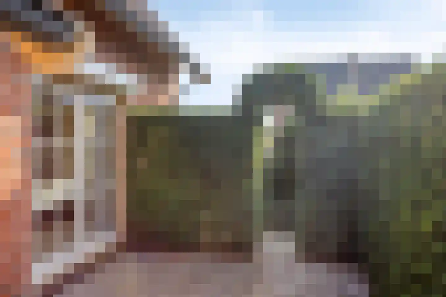 Hondelink 181 Haaksbergen thumbnail 33