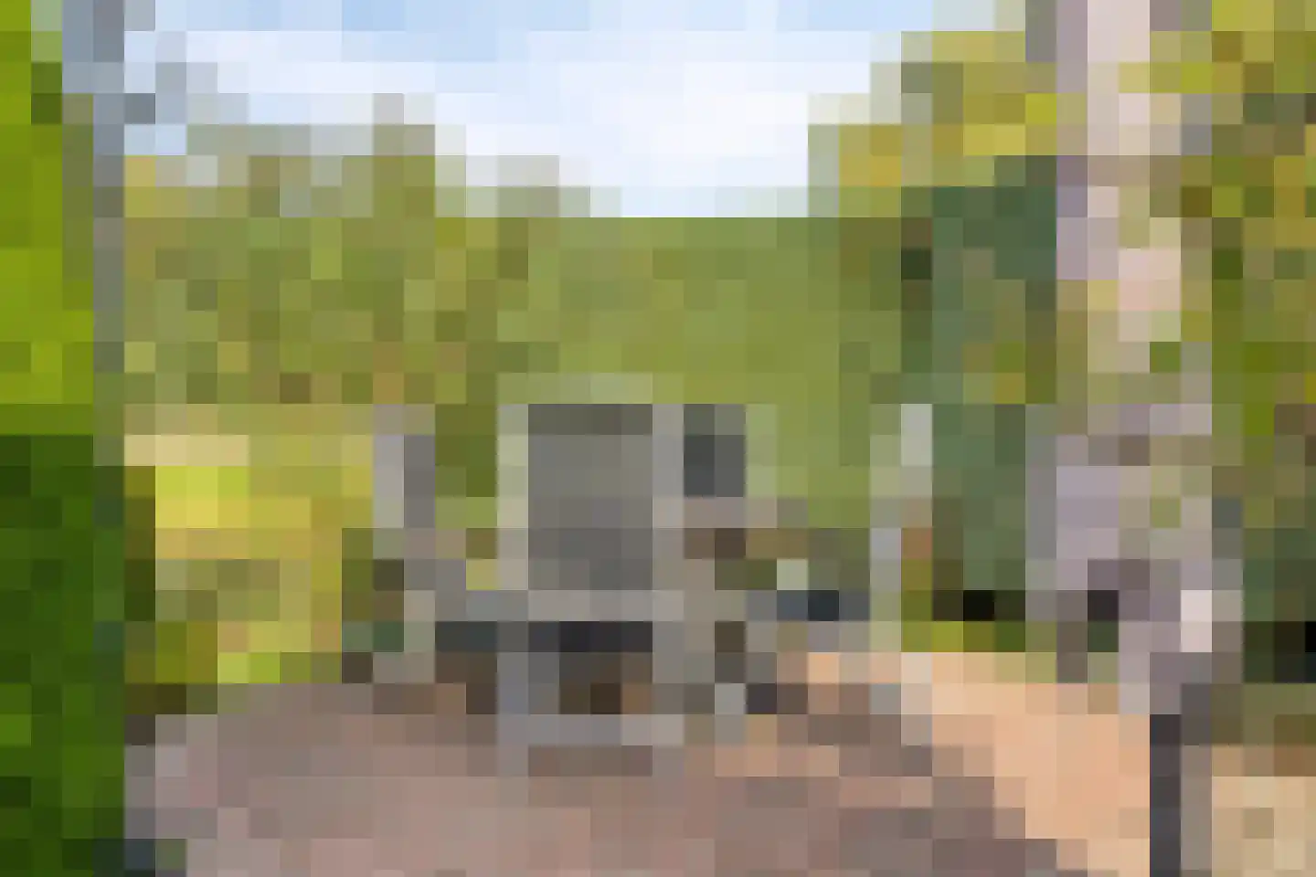 Hondelink 181 Haaksbergen thumbnail 34