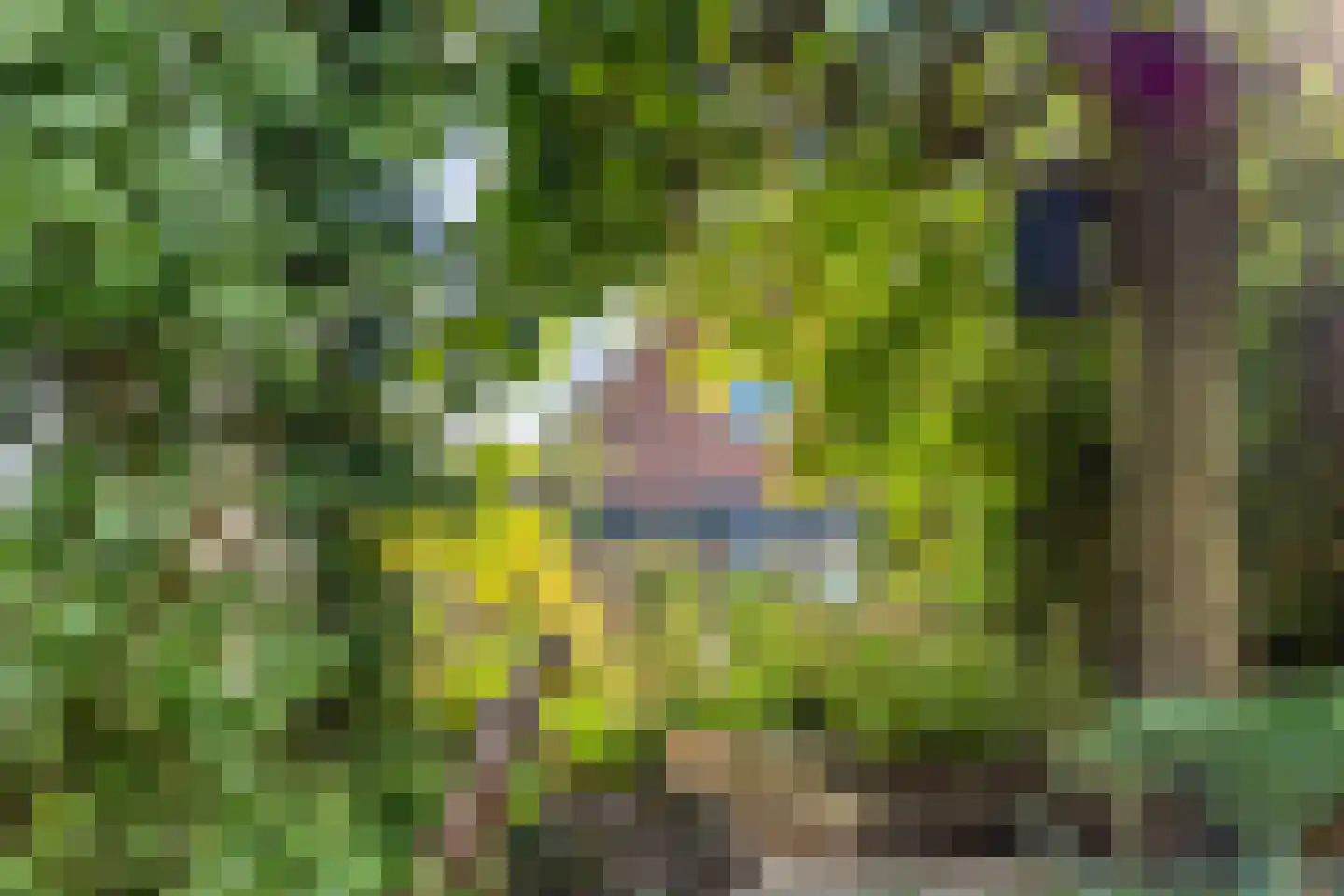 Hondelink 181 Haaksbergen thumbnail 35