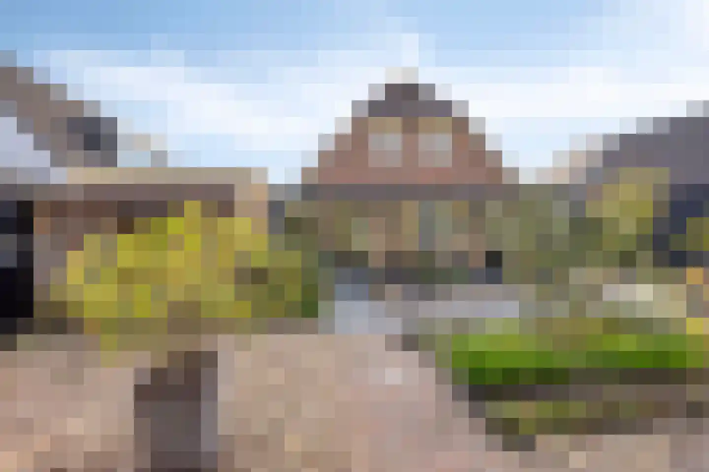 Hondelink 181 Haaksbergen thumbnail 36