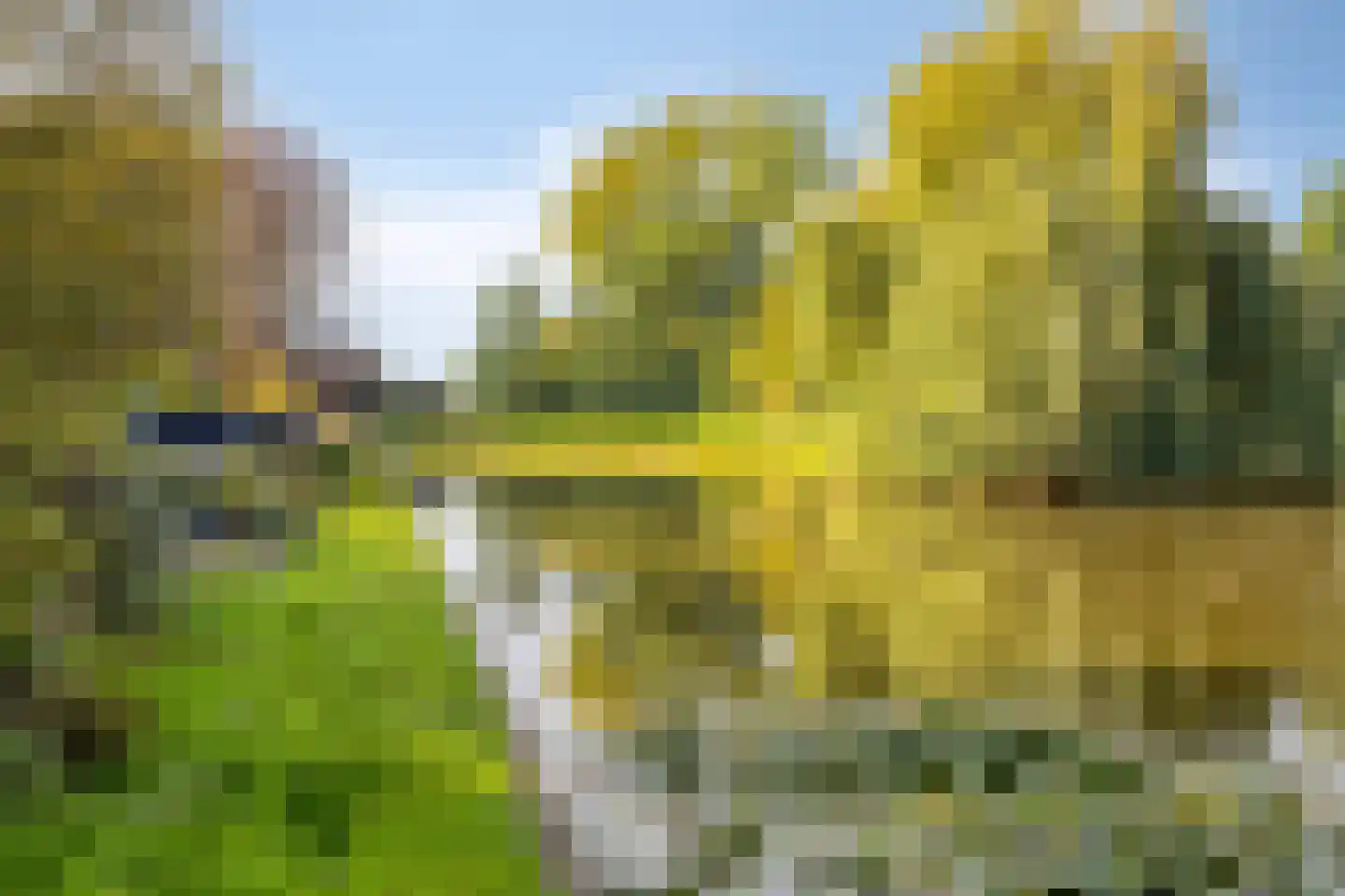 Hondelink 181 Haaksbergen thumbnail 38