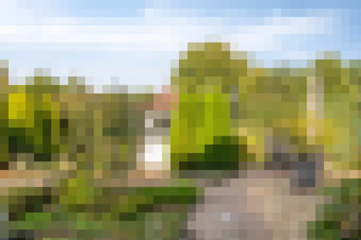 Hondelink 181 Haaksbergen thumbnail 6