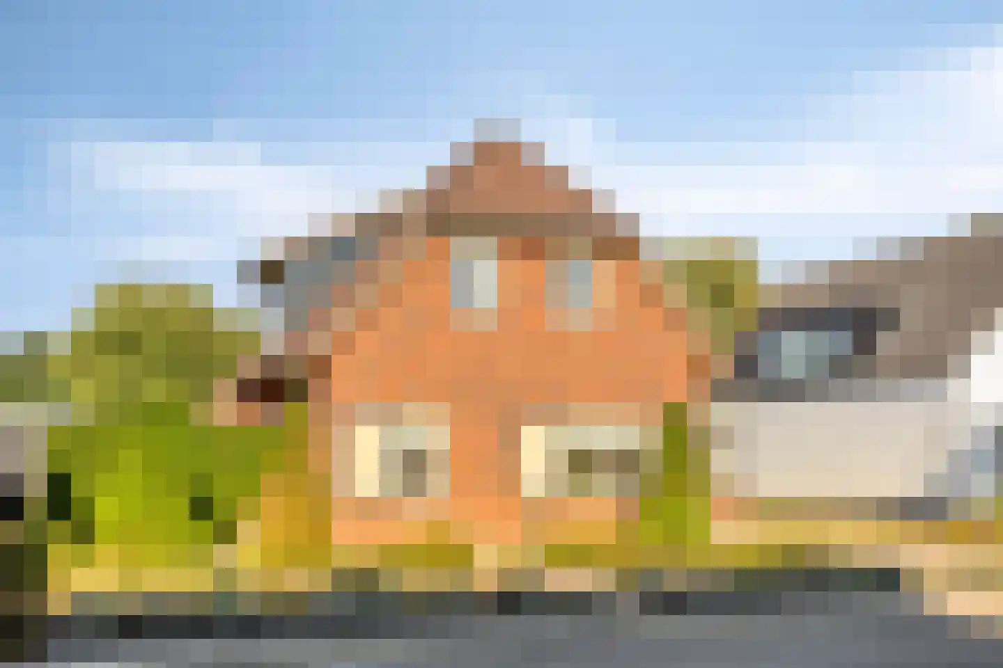 Hondelink 181 Haaksbergen thumbnail 8