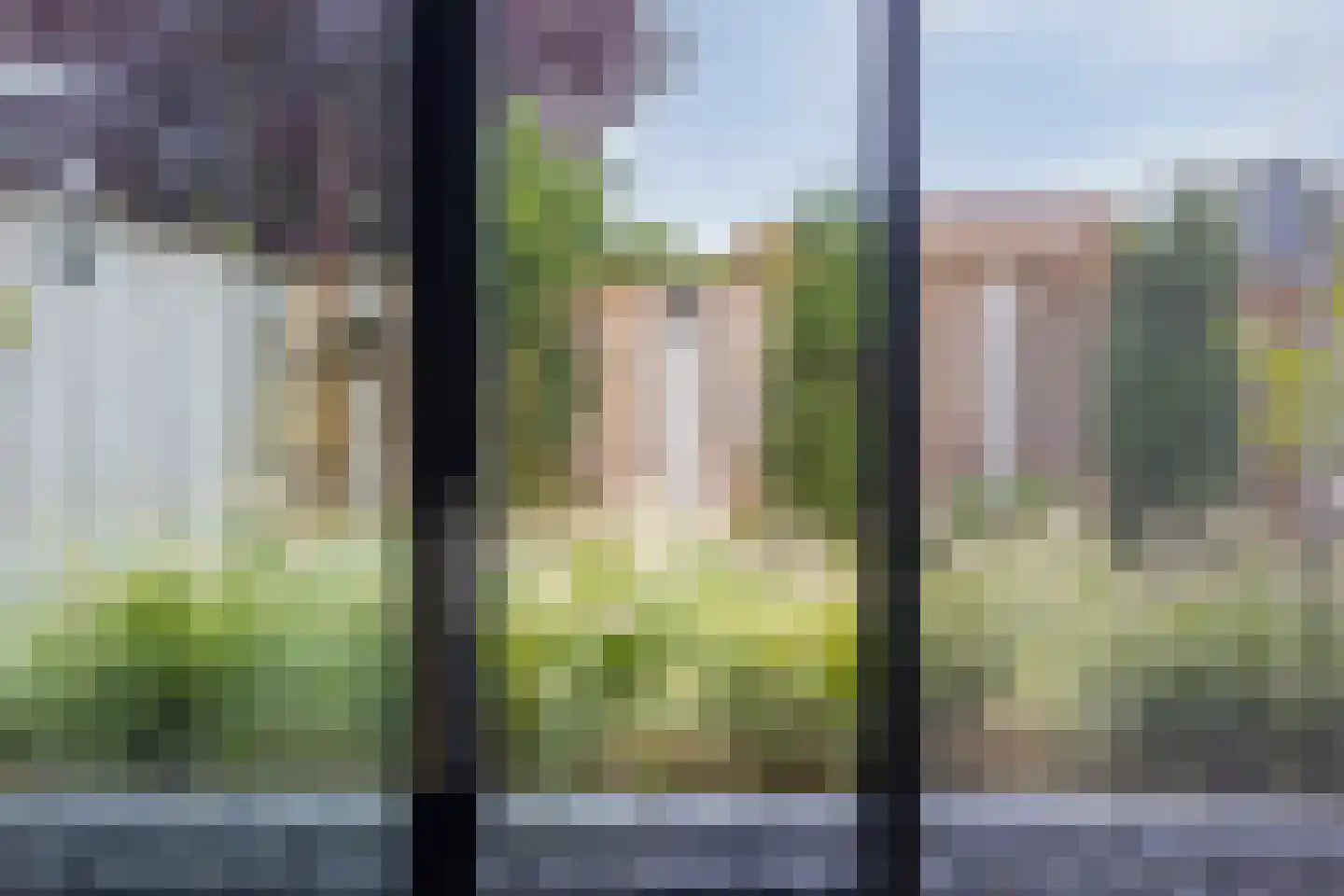 Hondelink 182 Haaksbergen thumbnail 13