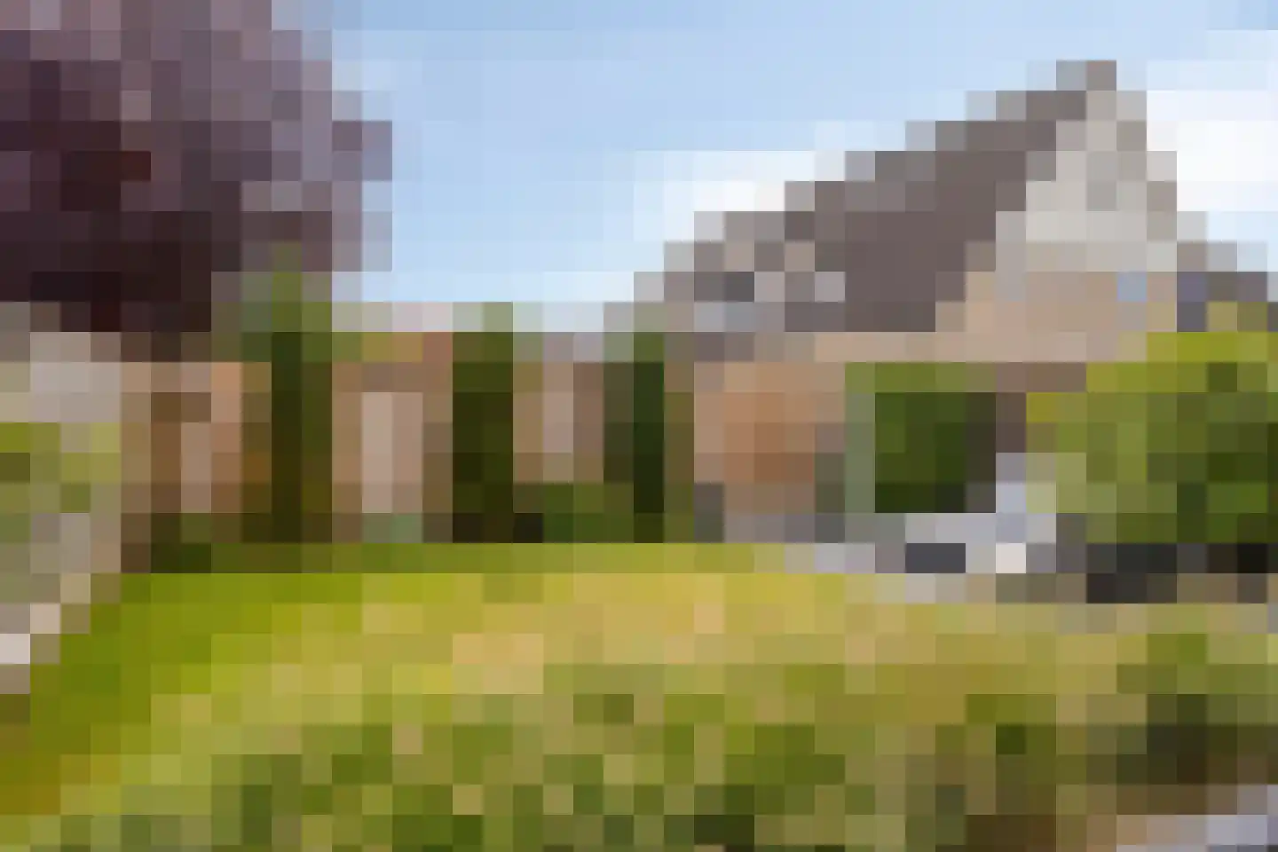 Hondelink 182 Haaksbergen thumbnail 17