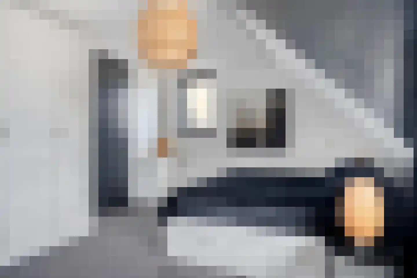 Hondelink 182 Haaksbergen thumbnail 23