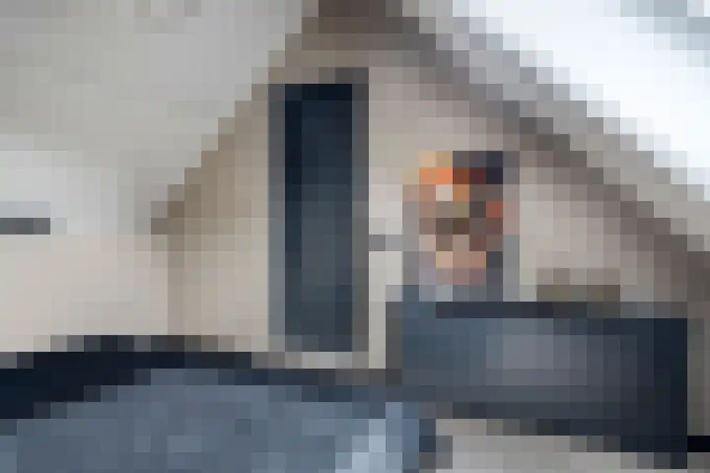Hondelink 182 Haaksbergen thumbnail 28
