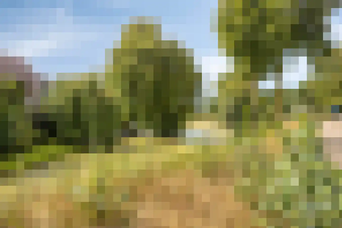 Hondelink 182 Haaksbergen thumbnail 35