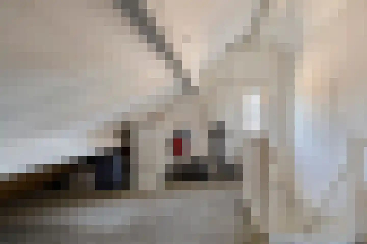 Hondelink 32 Haaksbergen thumbnail 24
