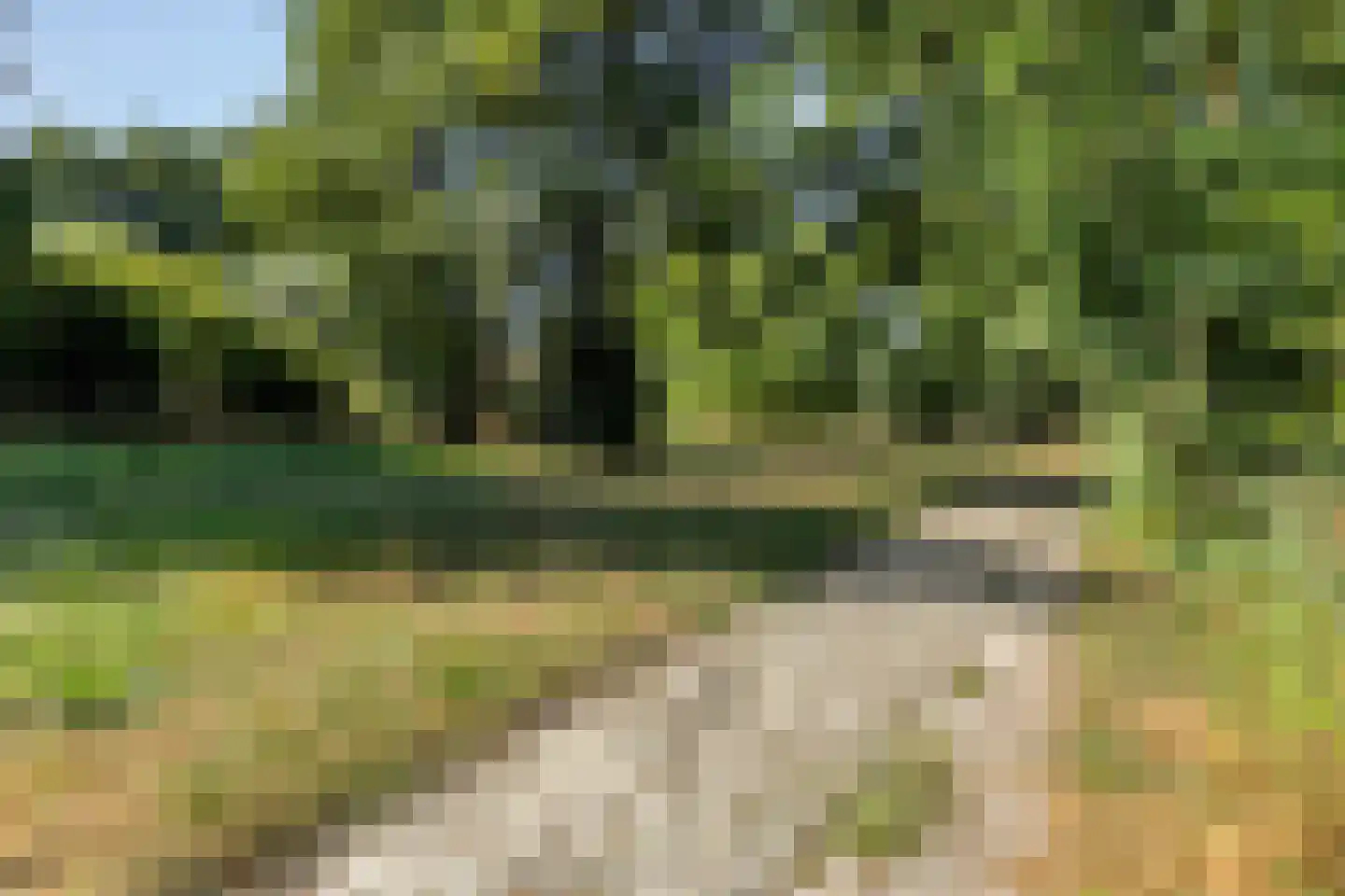 Hondelink 32 Haaksbergen thumbnail 33