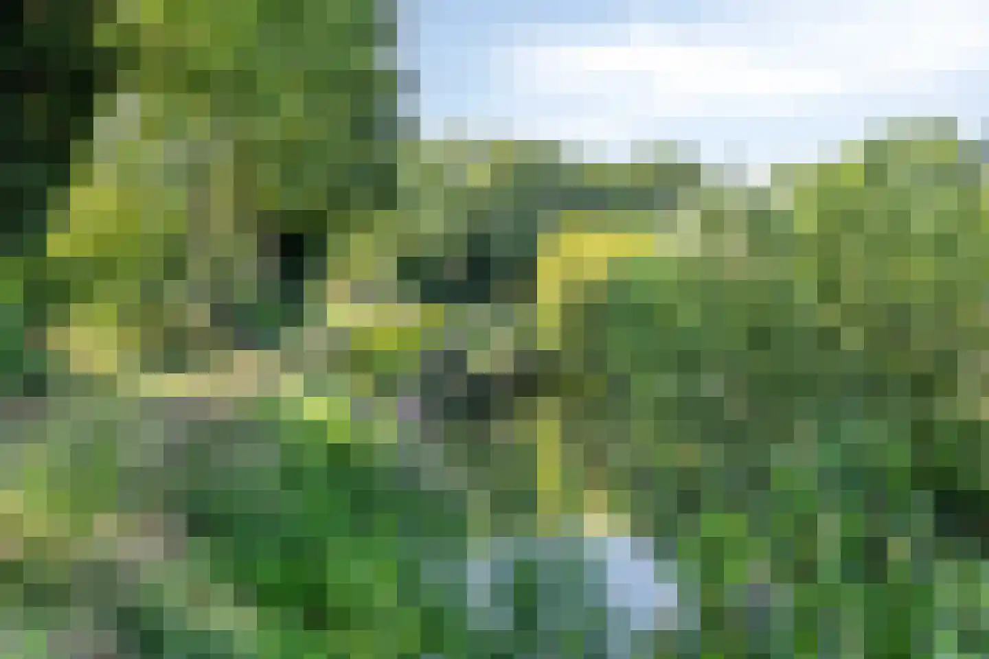Hondelink 32 Haaksbergen thumbnail 34