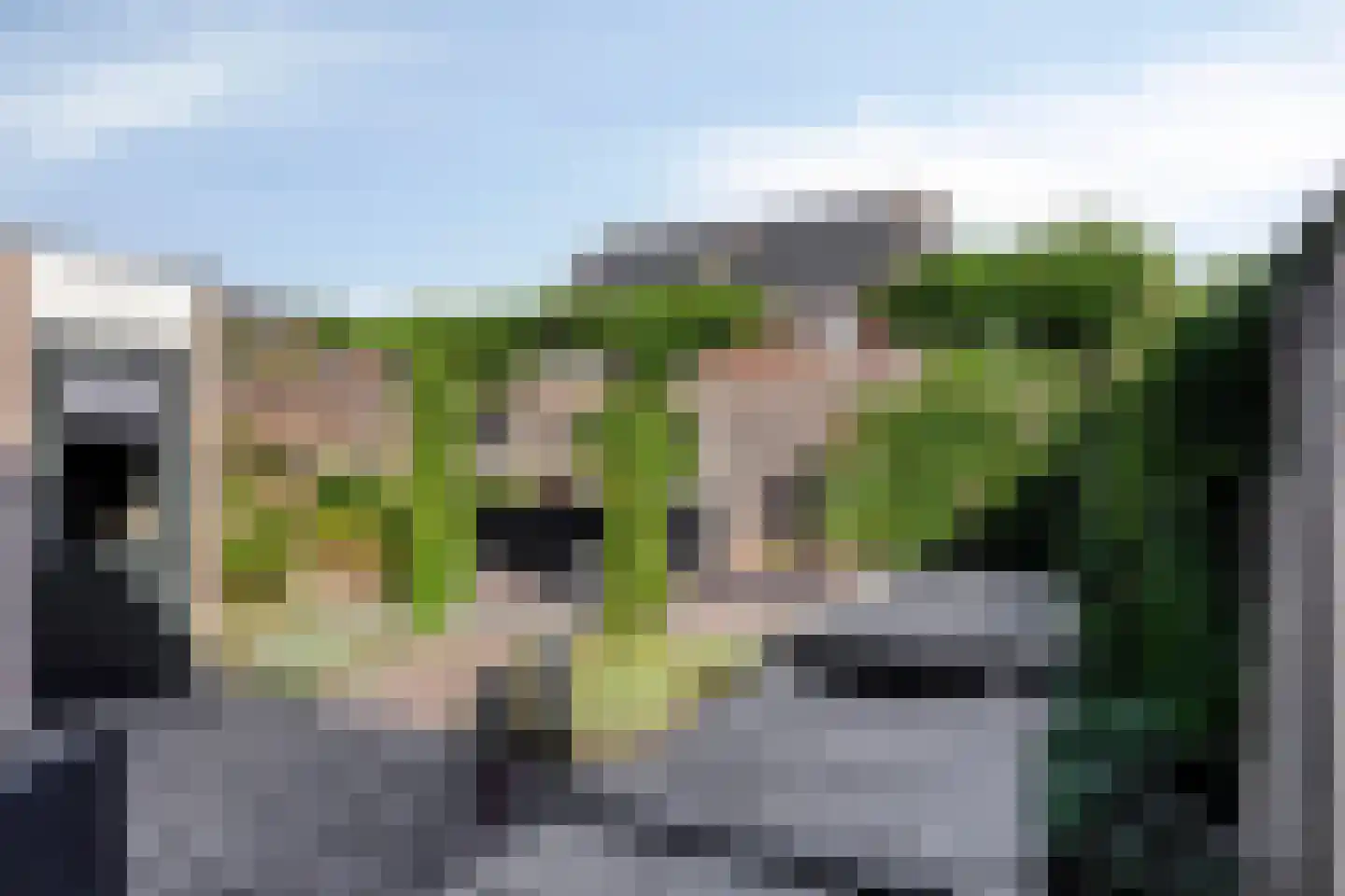 Hondelink 32 Haaksbergen thumbnail 5