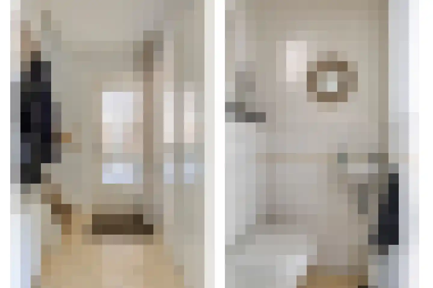 Hondelink 32 Haaksbergen thumbnail 8