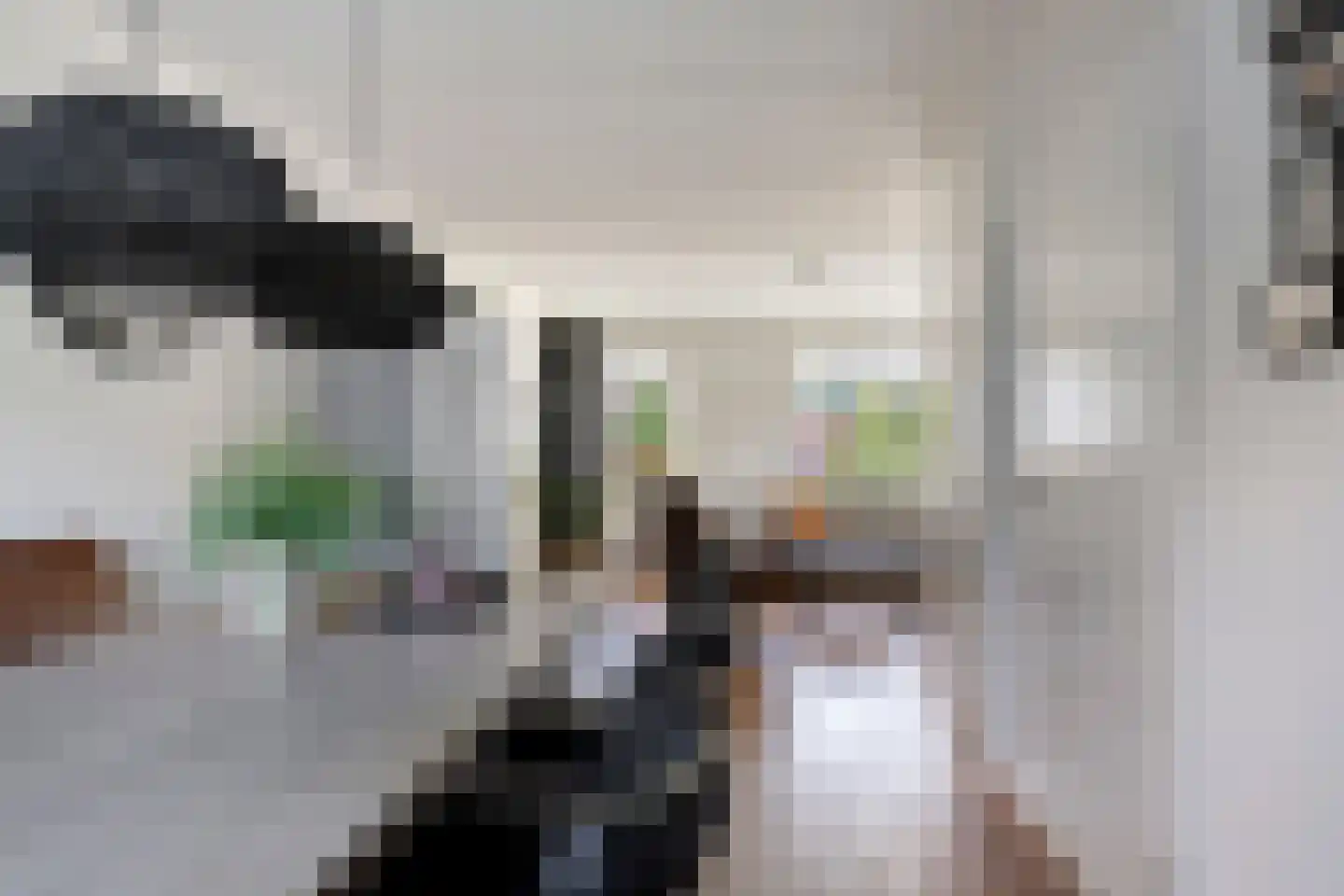 Hondelink 32 Haaksbergen thumbnail 9