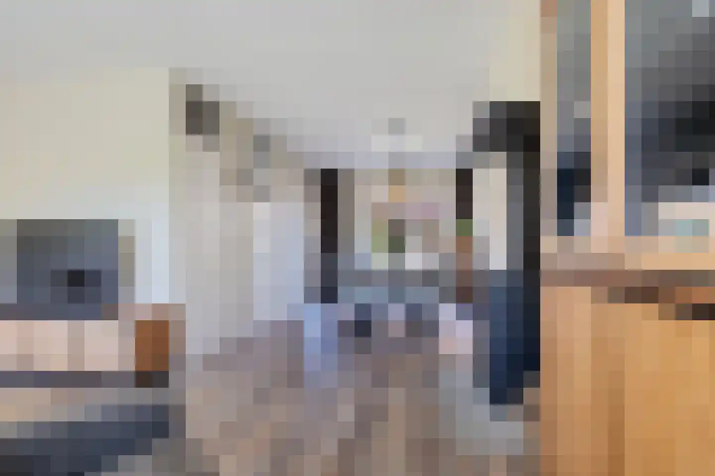 Hondelink 36 Haaksbergen thumbnail 10