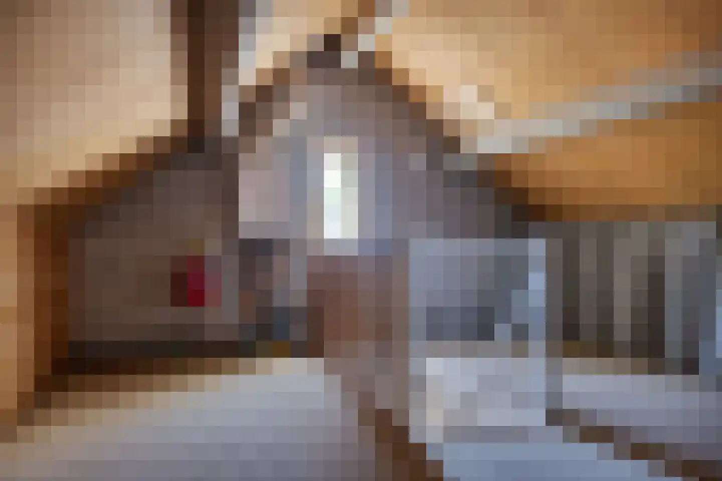 Hondelink 36 Haaksbergen thumbnail 27