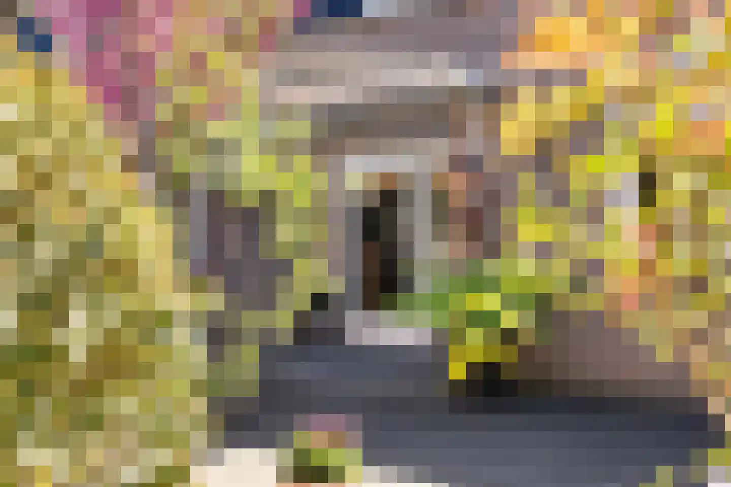 Hondelink 36 Haaksbergen thumbnail 31