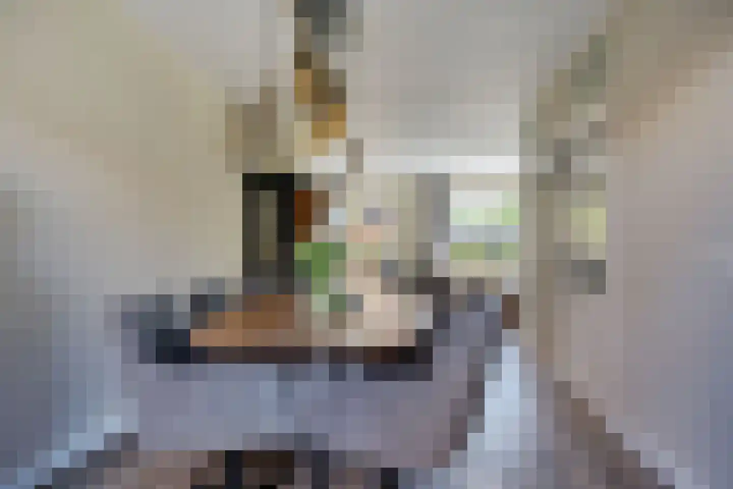 Hondelink 36 Haaksbergen thumbnail 6