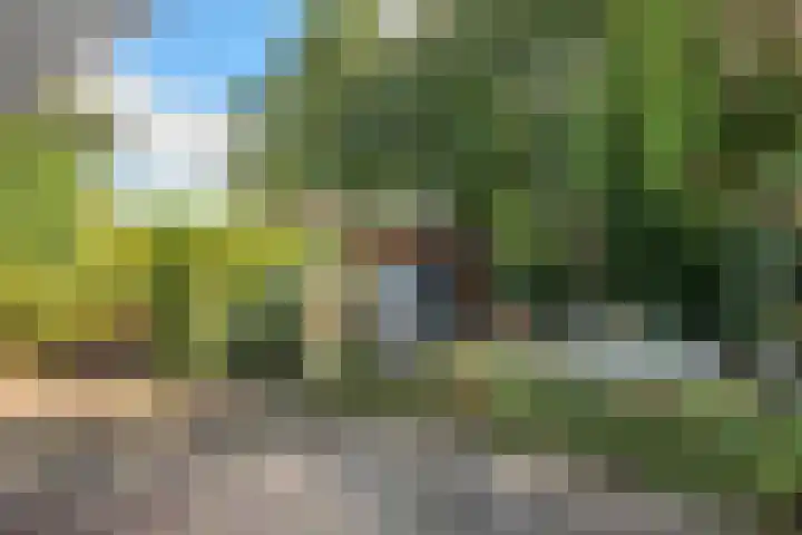 Hondelink 53 Haaksbergen thumbnail 14