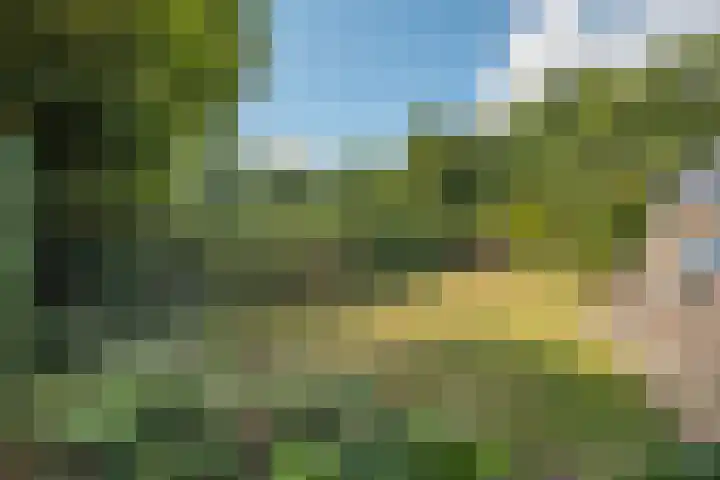 Hondelink 53 Haaksbergen thumbnail 15