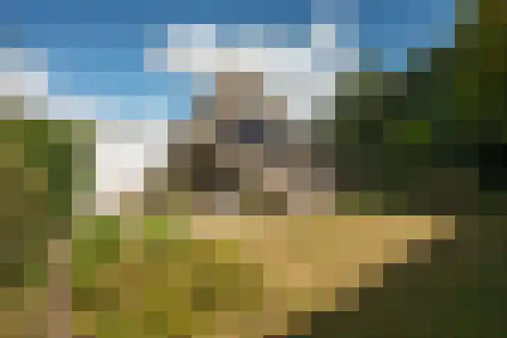 Hondelink 53 Haaksbergen thumbnail 16
