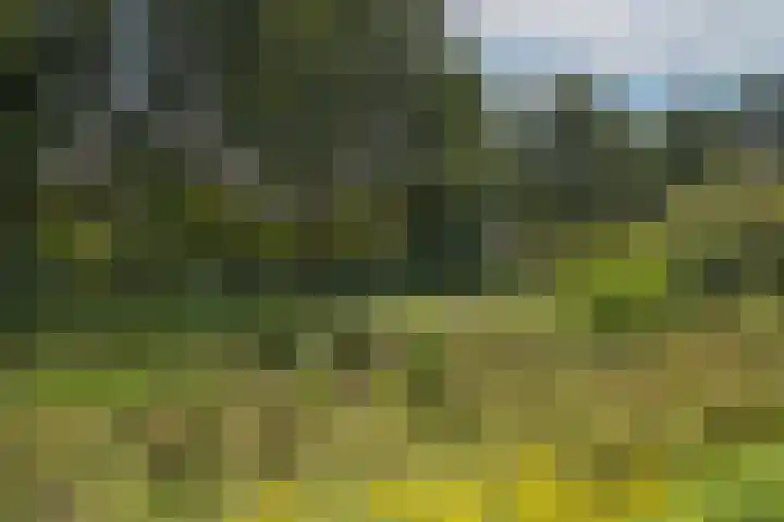 Hondelink 53 Haaksbergen thumbnail 19