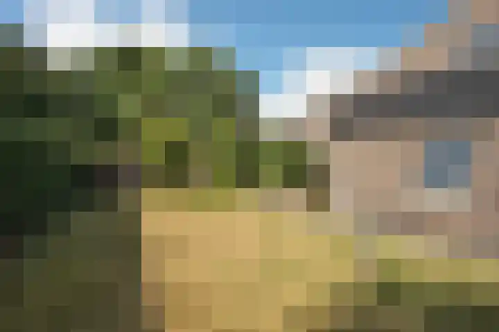 Hondelink 53 Haaksbergen thumbnail 20