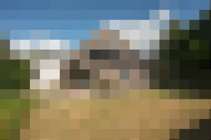 Hondelink 53 Haaksbergen thumbnail 21