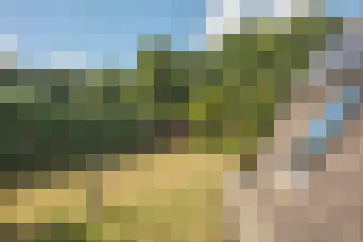 Hondelink 53 Haaksbergen thumbnail 22
