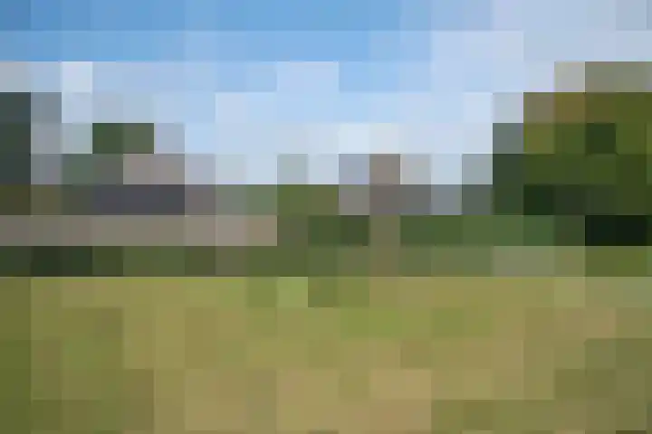 Hondelink 53 Haaksbergen thumbnail 23