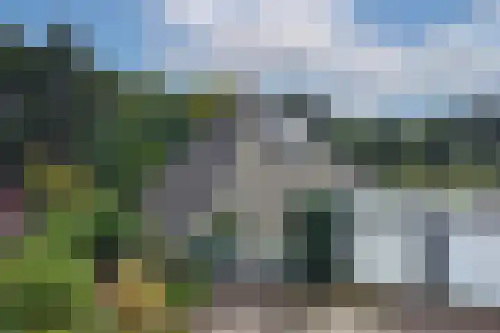Hondelink 53 Haaksbergen thumbnail 24