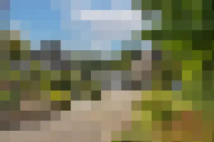 Hondelink 53 Haaksbergen thumbnail 25
