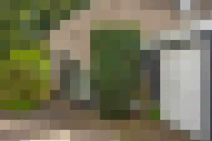Hondelink 53 Haaksbergen thumbnail 26