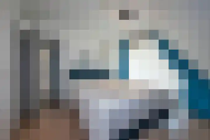 Hondelink 53 Haaksbergen thumbnail 30