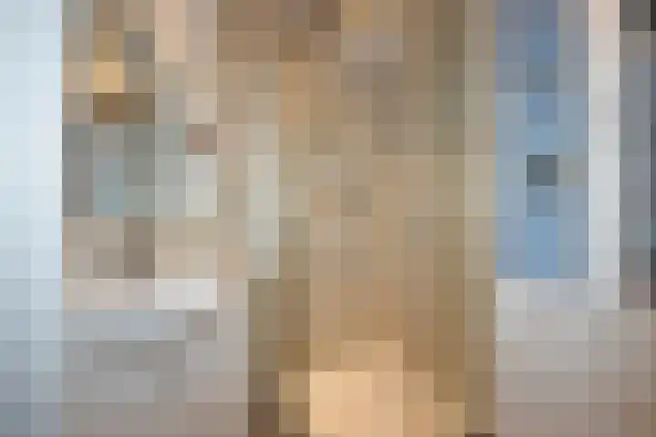 Hondelink 53 Haaksbergen thumbnail 31