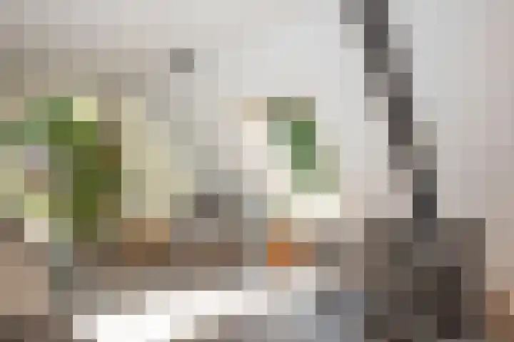 Hondelink 53 Haaksbergen thumbnail 32