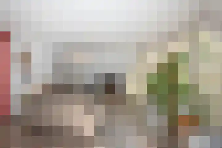 Hondelink 53 Haaksbergen thumbnail 33