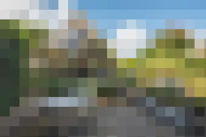 Hondelink 53 Haaksbergen thumbnail 34