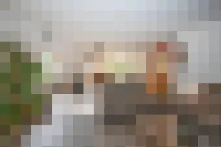 Hondelink 53 Haaksbergen thumbnail 35