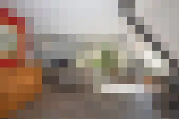 Hondelink 53 Haaksbergen thumbnail 36