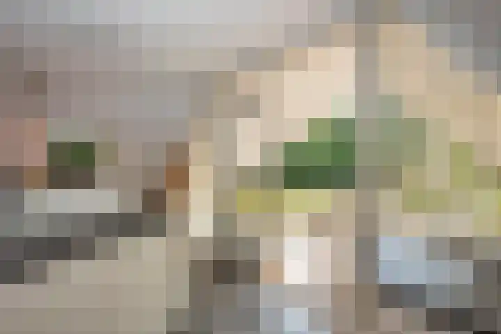 Hondelink 53 Haaksbergen thumbnail 38