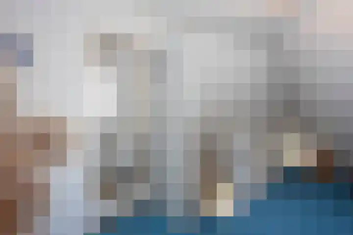 Hondelink 53 Haaksbergen thumbnail 40