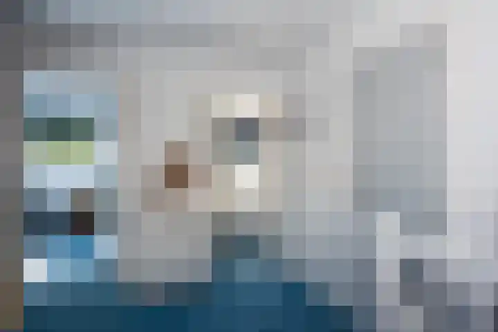 Hondelink 53 Haaksbergen thumbnail 42