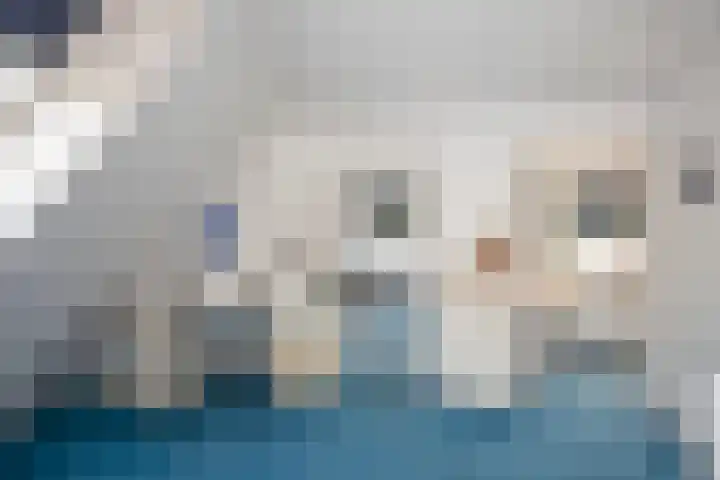 Hondelink 53 Haaksbergen thumbnail 46
