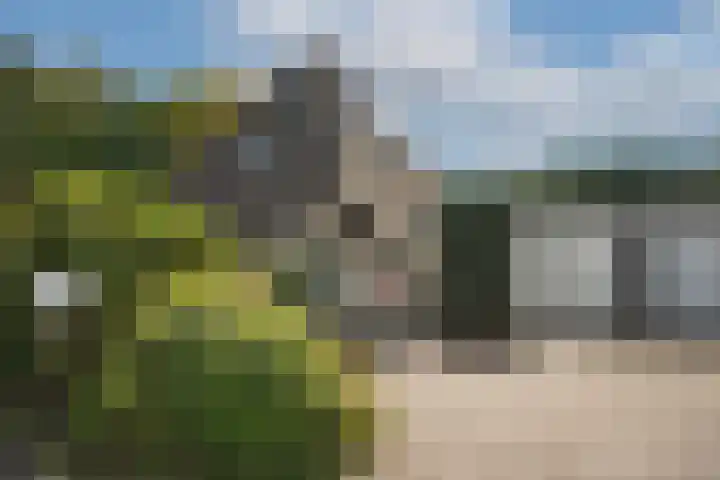 Hondelink 53 Haaksbergen thumbnail 48