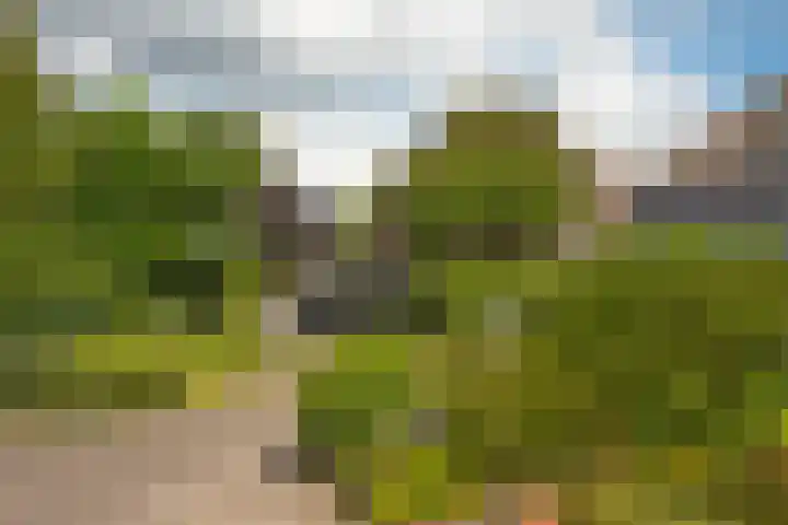 Hondelink 53 Haaksbergen thumbnail 49