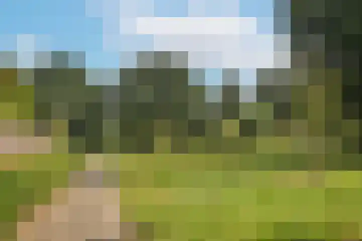 Hondelink 53 Haaksbergen thumbnail 50