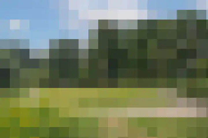 Hondelink 53 Haaksbergen thumbnail 51
